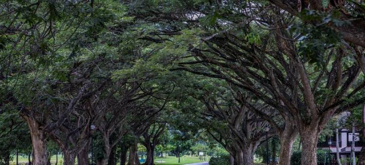 佳蓝汶莱度假村(Nexus Resort & Spa Karambunai)图片