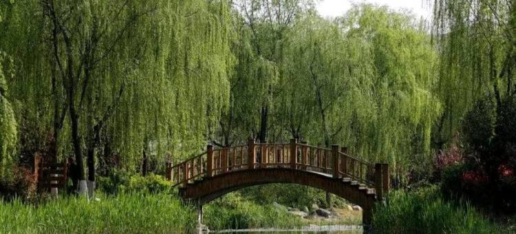 格林豪泰格盟酒店(山东国际会展中心店)图片