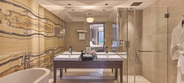 新加坡乌节路铂尔曼酒店(Pullman Singapore Orchard)图片