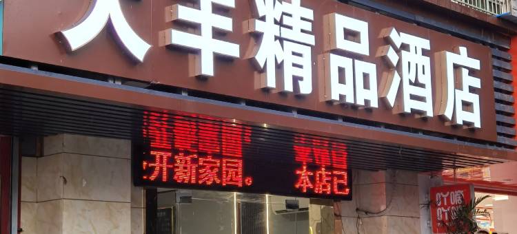 大丰精品酒店(双港地铁站店)图片