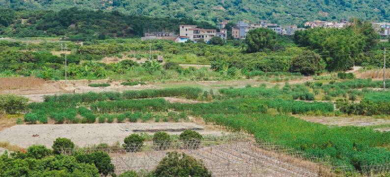 广州磨舍民宿图片