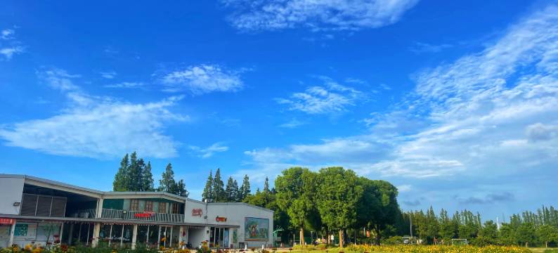 上海前小桔之家图片