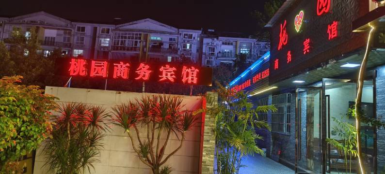 桃园商务宾馆图片