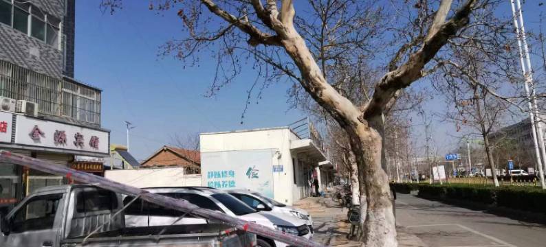 丰县金源宾馆图片