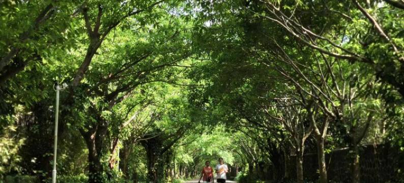 鸿洲别墅酒店(美兰国际机场店)图片