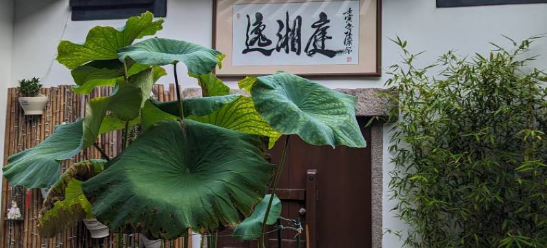 逸湘庭客栈(潮州古城店)图片