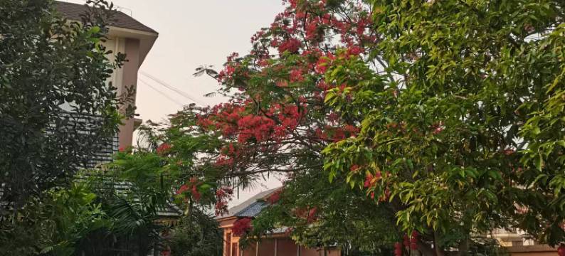 景洪多哩客栈图片