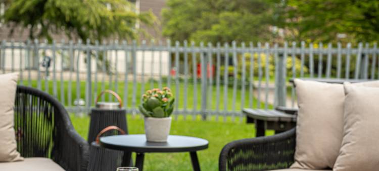 学者(The Scholar)图片