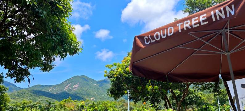 深圳西涌(西冲)云树里精品民宿图片