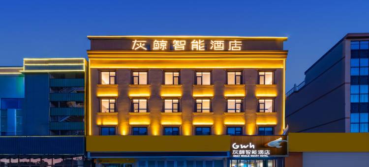 灰鲸智能酒店(满城区政府店)图片