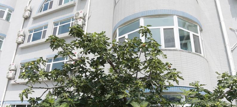 养马岛海芝云民宿图片