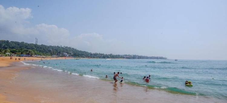 浪潮酒店(The Waves Unawatuna)图片