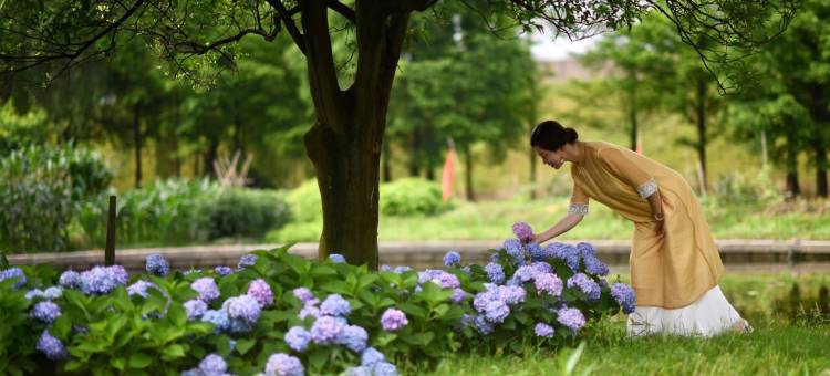 花伴民宿图片