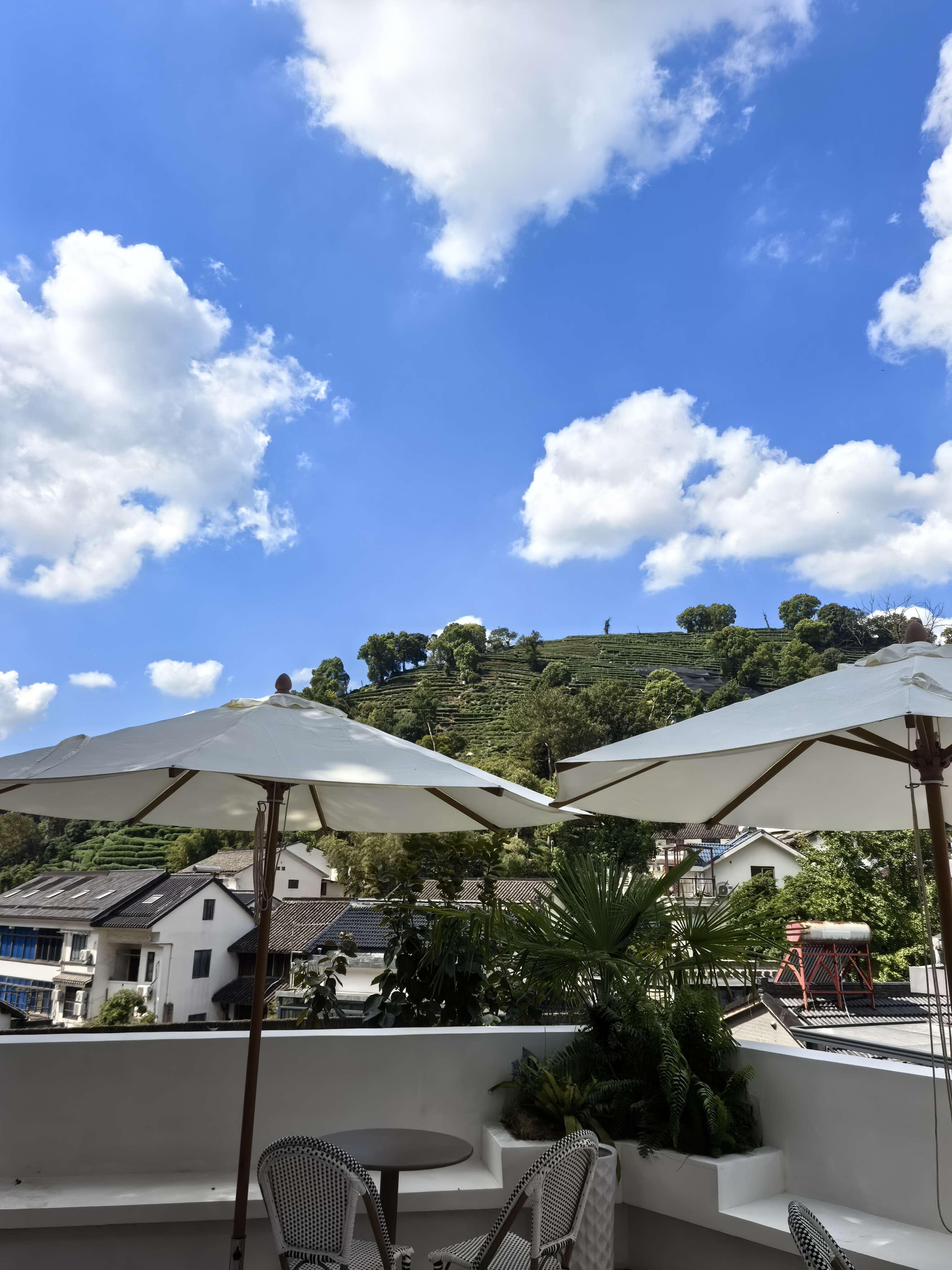 Hangzhou Moju Boutique Guesthouse (West Lake Scenic Area Shop) Over view