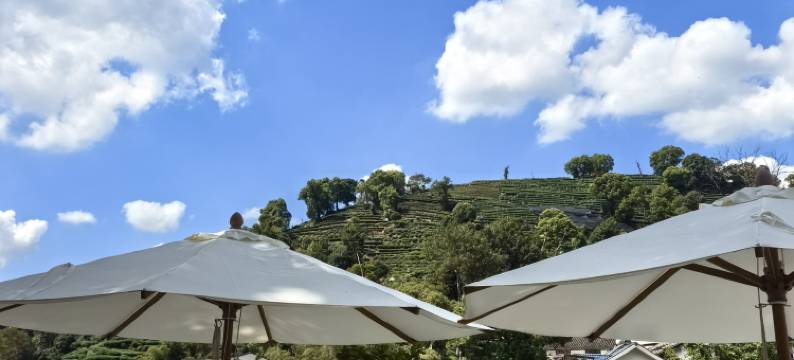 杭州沐居民宿(西湖景区店)图片