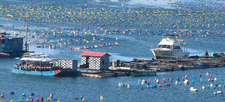南澳全海景民宿(海泉湾店)图片