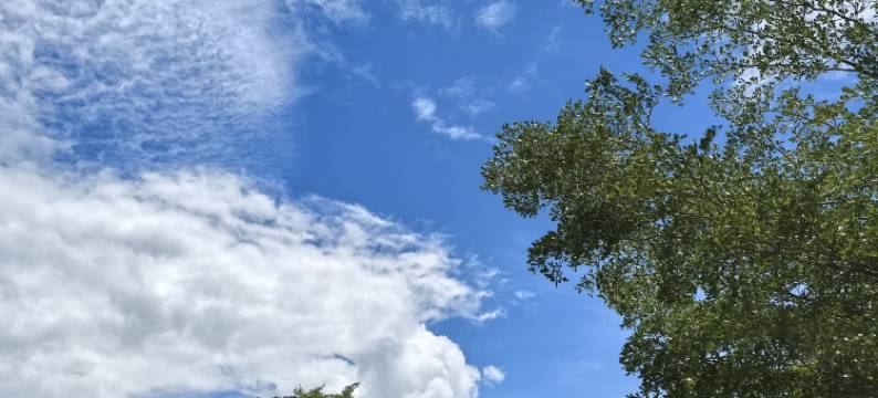 三亚天涯望海听风客栈图片