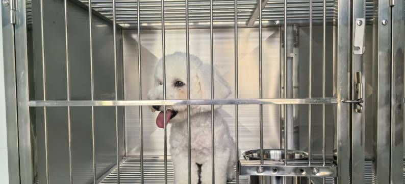 舟山新华侨饭店图片