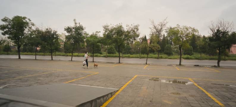 沙湖小满宾馆图片