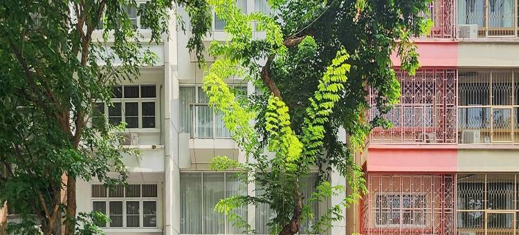 简单睡眠旅舍(Simply Sleep Hostel)图片