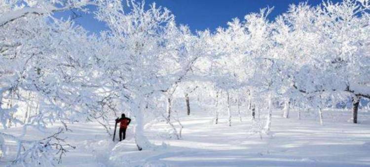 雪乡千雪阁民宿图片