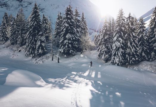 Club Med Les Arcs Panorama Hotel Overview