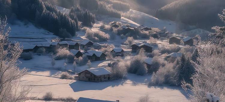 鹏游山居·弥野秘境Villa(白哈巴村店)图片