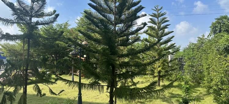 阿伦萨空豪华公寓(Arunsakhon  Luxury Condo)图片