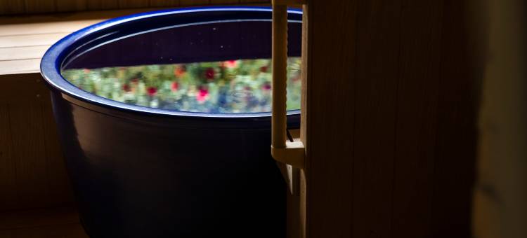 千之杜(Sennomori)图片