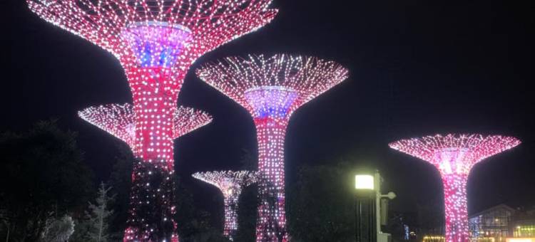 漫朵酒店(保定未来石万达店)图片