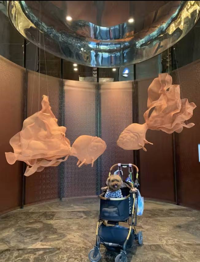 西安雅诗阁lyf酒店(大雁塔大唐不夜城店)图片