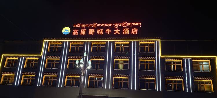 曲麻莱高原野牦牛大酒店图片