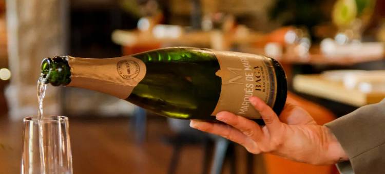 蒂姆布雷维尔图德斯(Timbre Virtudes)图片