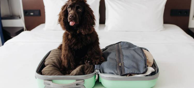 莫斯科萨杜丽笙酒店(Sadu Hotel Moscow, a Member of Radisson Individuals)图片