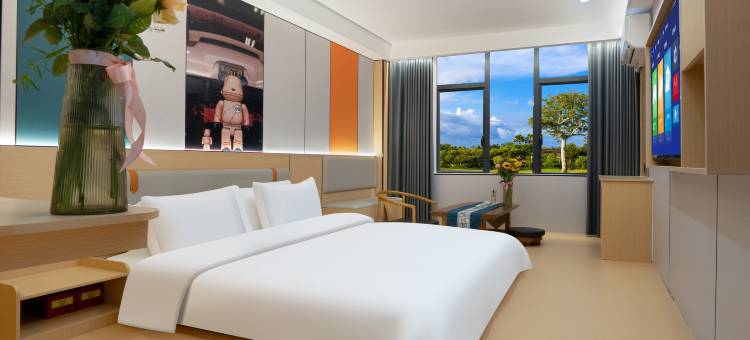 程枫智享美宿(佛山西站沙堤机场店)图片