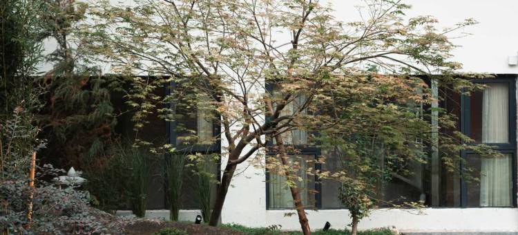 杭州临安青山湖雷迪森庄园图片