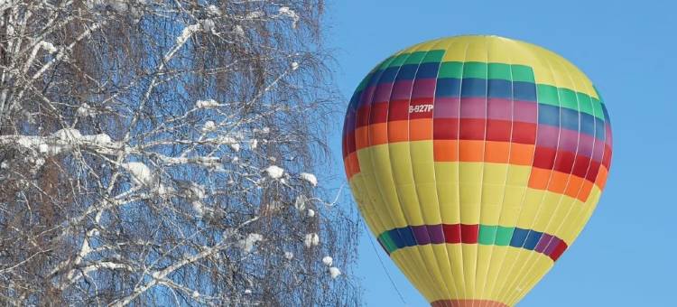 深山见•山野如许•自然美学花园庭院民宿(白哈巴老村店)图片