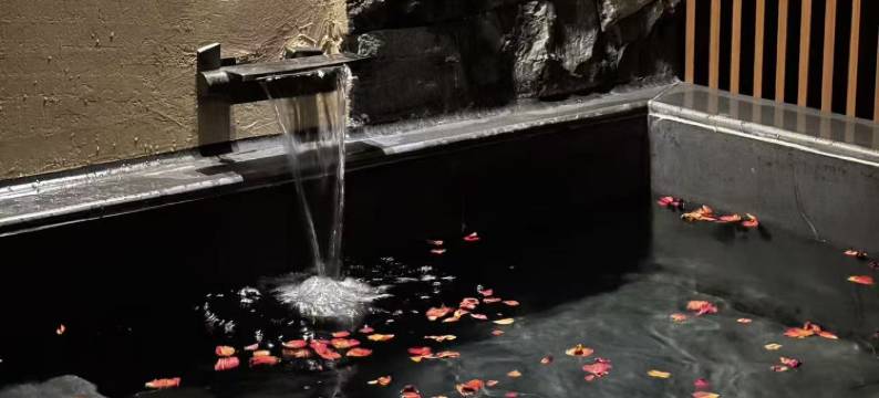 庐江溪地阿兰若美宿图片