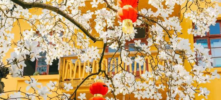 雲菲悦·轻居公寓(永盛路地铁站店)图片