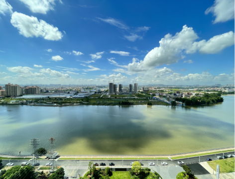 佛山白天鹅采奕酒店图片