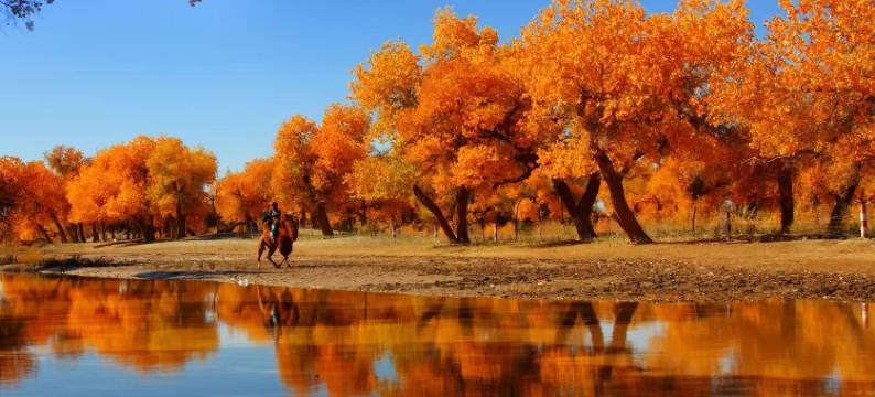 都市花园酒店(金塔航天镇店)图片