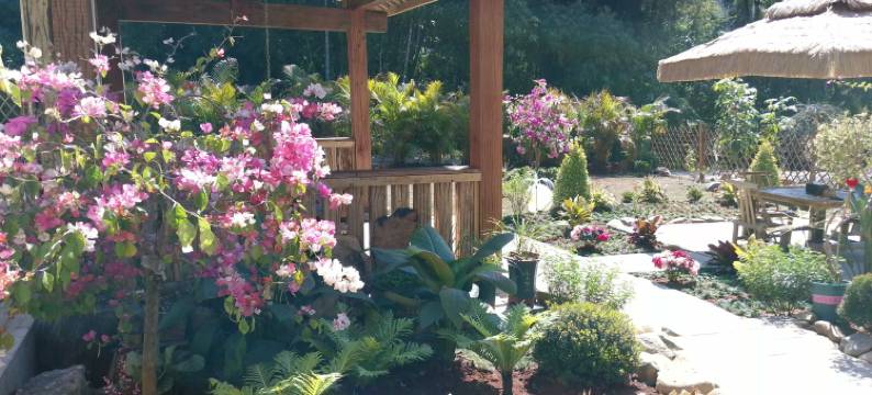 芒市在芒民宿(傣族古镇店)图片