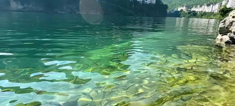 美景精品酒店(天峨店)图片