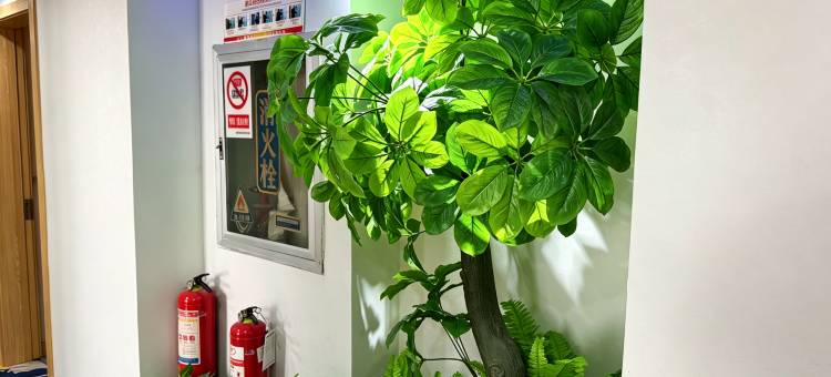 榴莲小星连锁酒店(邳州宏通汽车站店)图片