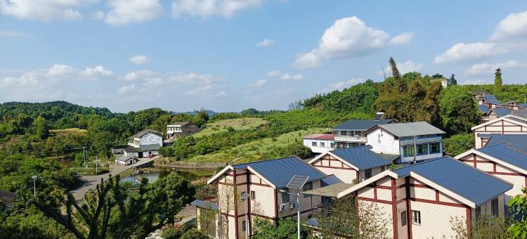 宜宾崇兰别院(三江彭湃城店)图片