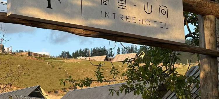 树里·山间民宿(白哈巴景区店)图片