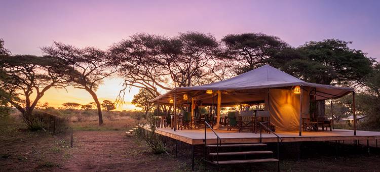 猢狲树帐篷露营酒店(Baobab Tented Camp)图片