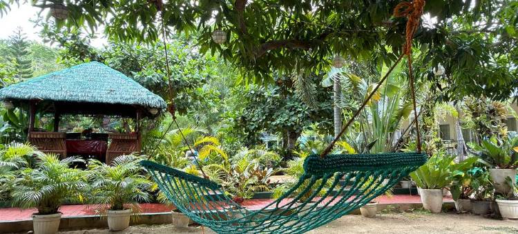 Camotes Seaside Tourist Inn - Camao Resort图片