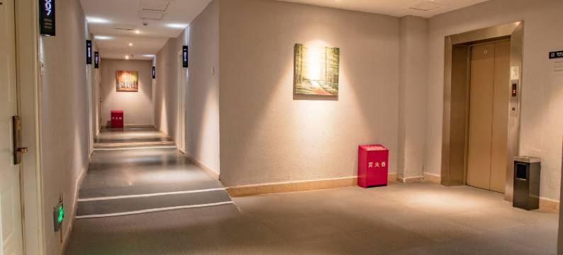 华宿轻雅酒店图片