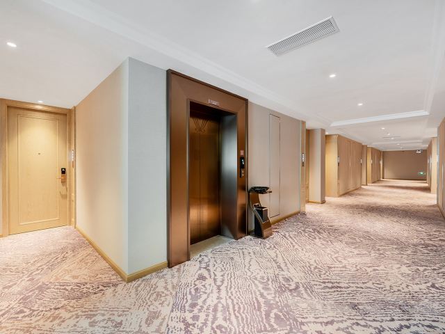 Vienna Hotel (HuiZhou Boluo Futian)Over view